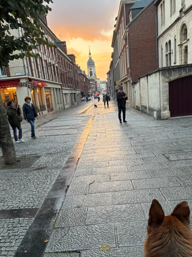 Rue avec Uysse